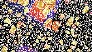 Particle Physics Special Seminar: Thermal ringdown of planar models